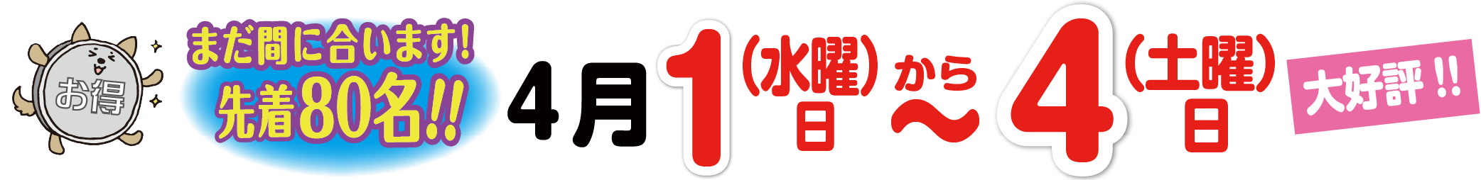 WEB限定！特別キャンペーン